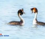 铎??創??蝔极巌鹈{呖漺?j{貋Eq -南宫娱乐网站