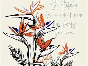 关于&a鹩nt?lě缌鏜喣鰜璁的信息